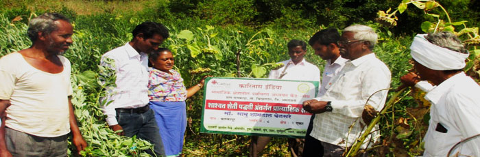 Sustainable agriculture for strengthening community livelihood of Vidarbha
