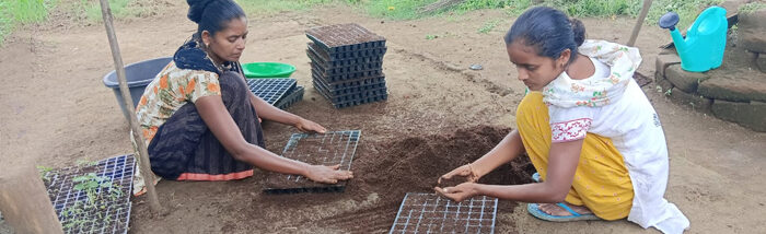 Manila’s multilayer nutrition garden paving the way from forest to fortune