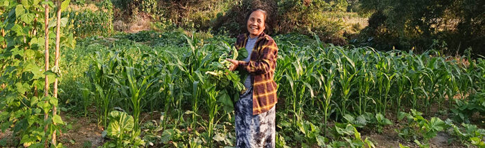 Promoting Food Sovereignty: The Importance of Indigenous Seeds and FARM Program