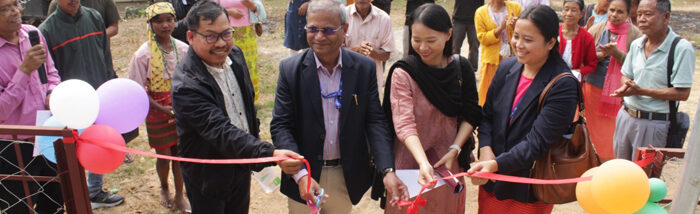 Promoting Sustainable Livelihoods: Transforming Smallholder Farmers’ Markets