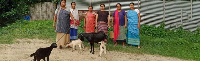 Transforming SHG Livelihoods in Hidisajir