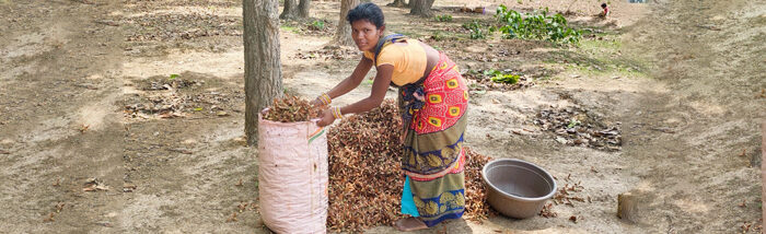 Supporting Indigenous Communities Through Sustainable Forest Management