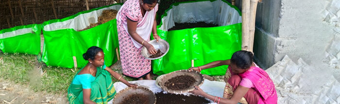 Turning Waste into Wealth: Community Compost Bank