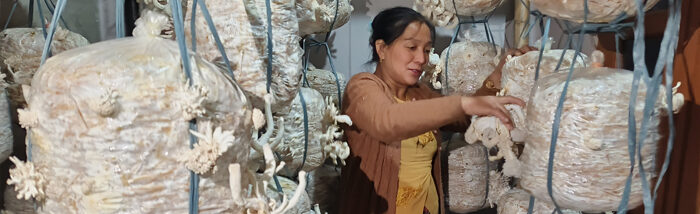 Empowering Arunachal Pradesh Farmers Through Oyster Mushroom Cultivation: A Sustainable Income Solution