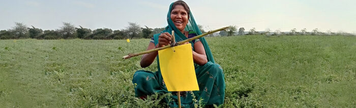 Farmers replacing chemicals with biological fertilizers and organic manure