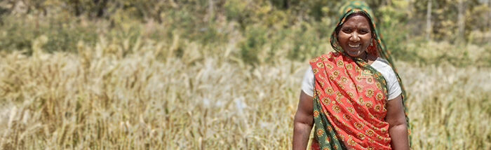 Cultivating Change through Sustainable Farming