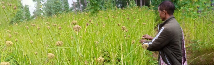 Nurturing Resilience by empowering farmers