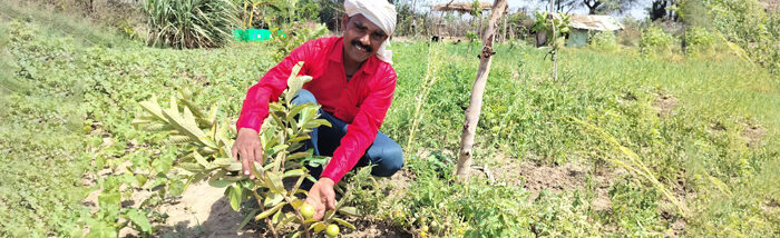 Paving a transformative pathway toward sustainable agriculture