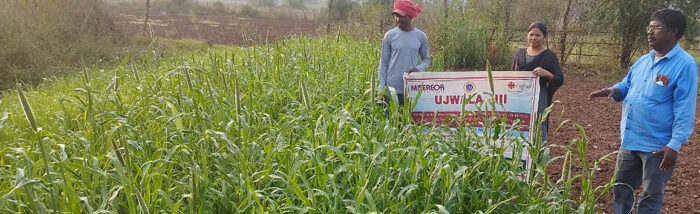 Indigenous tribe tackling health and livelihood issues through sustainable farming practices