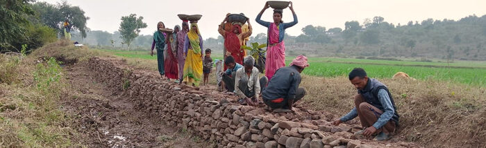 SAFBIN introducing conservation measures to boost resilience of smallholders