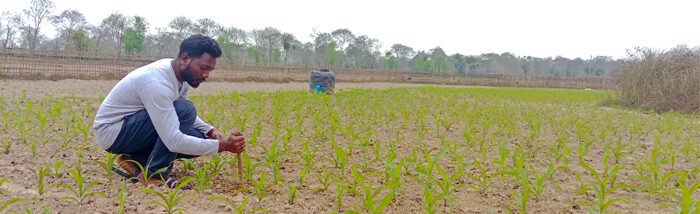 Reimagining Agriculture Renaissance: Inspiring Youth in Agriculture