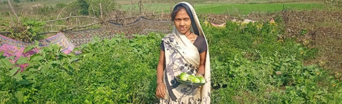 Transformation from Anaemic Women to Healthy Motherhood