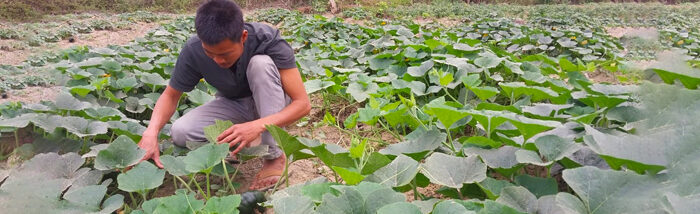 Unveiling the Integrated Farming Revolution in Karbi Anglong, Assam