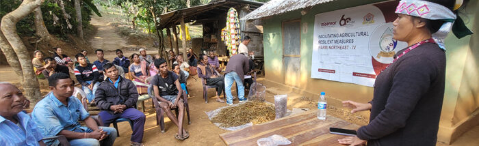 Chisimari: Bringing economic resilience through mushroom cultivation