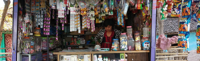 Promoting self-reliance by Empowering People with Disabilities Through Livelihood Support