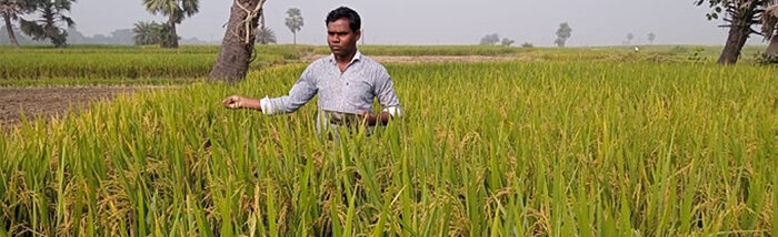 Paira Cropping Initiative Transforms Agriculture Landscape
