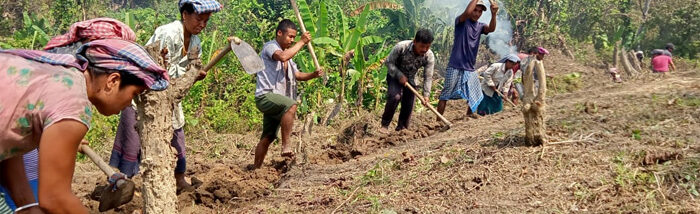 Collectivization – Key to attaining food security and sovereignty