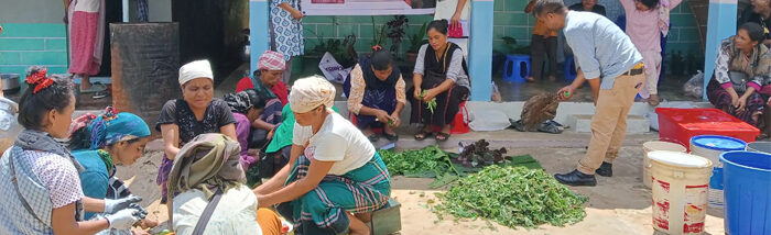 Gateway to Sustainable Change