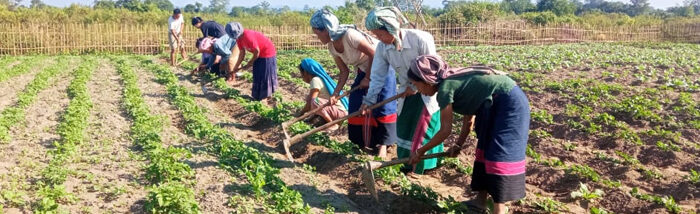 Act of Collectivisation: new league of farmers revolutionizing agriculture landscape