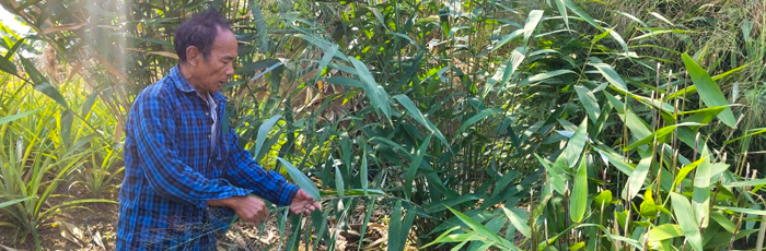 Crop Diversification: A profitable option to boost farmer’s income