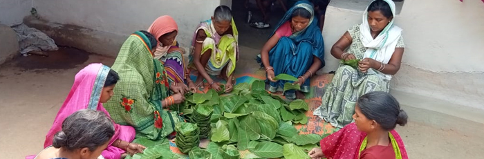 A Catalyst for Change in Rural Women’s Livelihoods