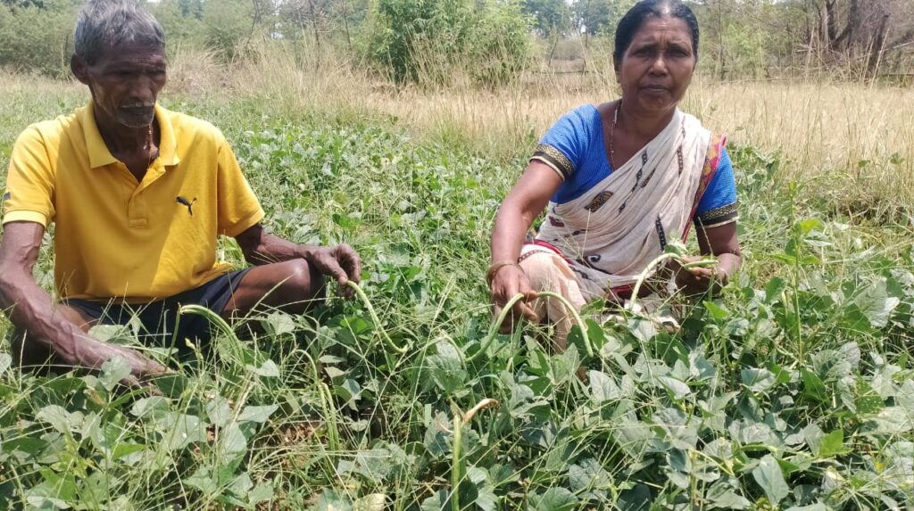 Global Program India