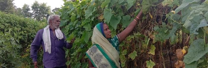 Contribution of rural women in integrated farming system (IFS) is recognised through SAFBIN