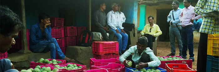 TRIBAL COMMUNITY SELLING FOREST PRODUCE THROUGH FOREST MANAGEMENT COMMITTEE