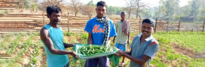 Empowering Rural Communities through Collective Farming