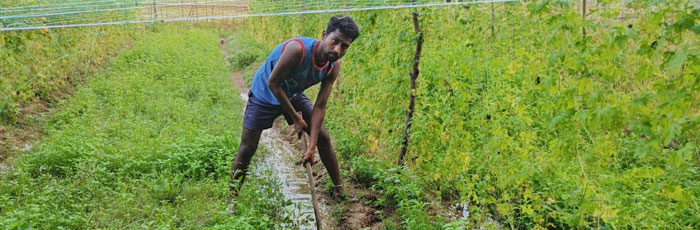 Jyanto Mandi’s Journey of Transformation