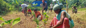 Building a Sustainable Future: Community Orchards Transform Villages in Kokrajhar