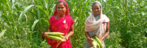 Korwa Pahadia tribes in Chhattisgarh are experiencing newfound hope thanks to organic farming