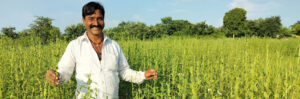 Bharat Ahirwar's Resilient Journey: From Soybean Struggles to Sesame Success