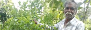 Ghanshyam Ahirwar's Inspiring Journey with Integrated Farming