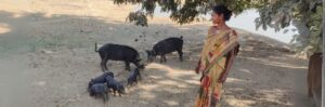 How One Piglet Transformed a Family's Future in Jharkhand