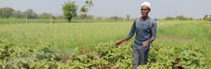 From Struggle to Sustainability: Govind Patel’s Journey to Climate-Resilient Farming