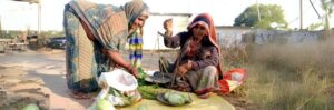 Vegetable Farmer to Vegetable Vendor