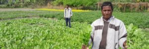 A switch to farm diversification for a sustainable livelihood