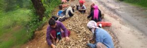 Can Collective Farming Shape the Future: A Remote Manipur Village Shows the Way