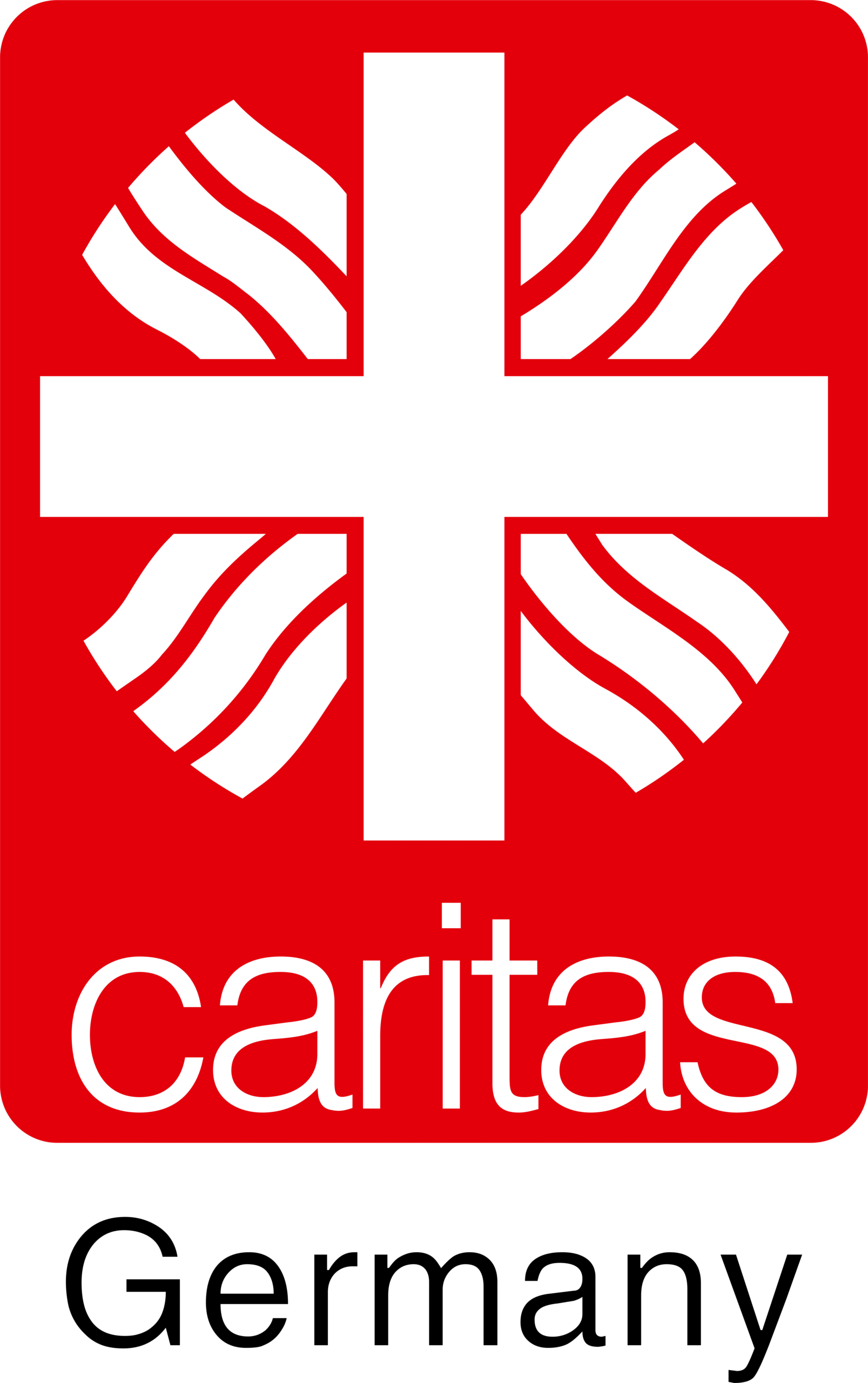 Caritas India Leading Humanitarian And Development Organizations