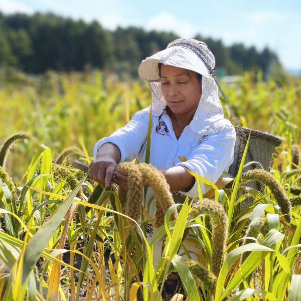 FARM Northeast