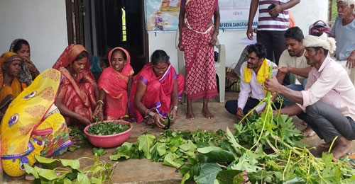 FARM field schools outsmart rats and crabs with farmer made solutions