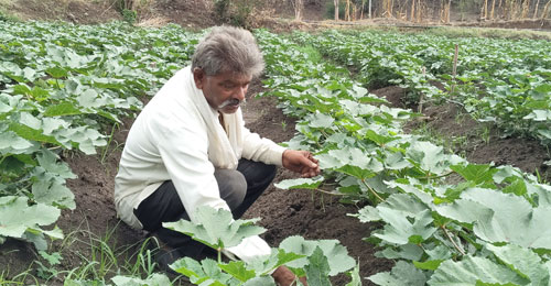 Breaking the cycle of loss: how organic bio inputs helped farmers reclaim control over food production
