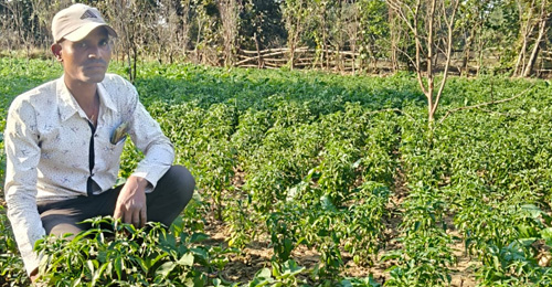 How Collective Action Transforms Tribal Irrigation in Chhattisgarh