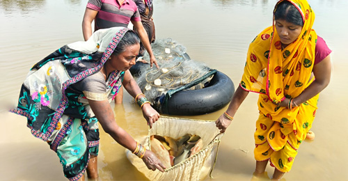 How Gond women turned a common water body into food security and collective prosperity