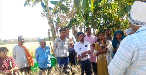 How an Exposure Visit is Sowing New Seeds for Khushaal Bachpan