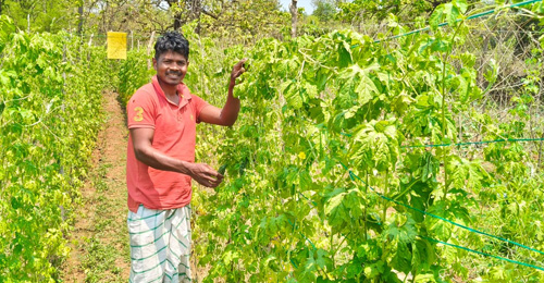 Why Diwakar Biruli Chose the Village over the City