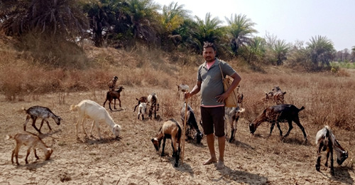 Jharkhand farmer proves livelihood diversification improves family income
