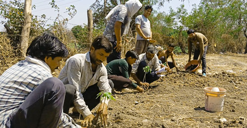 This Is What Earth Day Looks Like at Grassroot