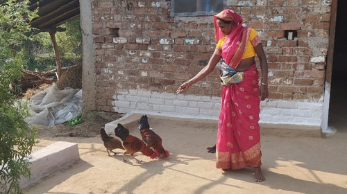 How Farmers Field School are rewriting the rules of rural Income